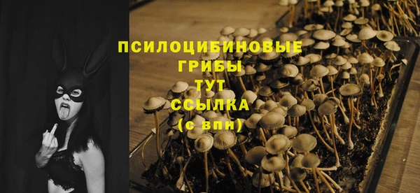 ГАЛЛЮЦИНОГЕННЫЕ ГРИБЫ Сясьстрой