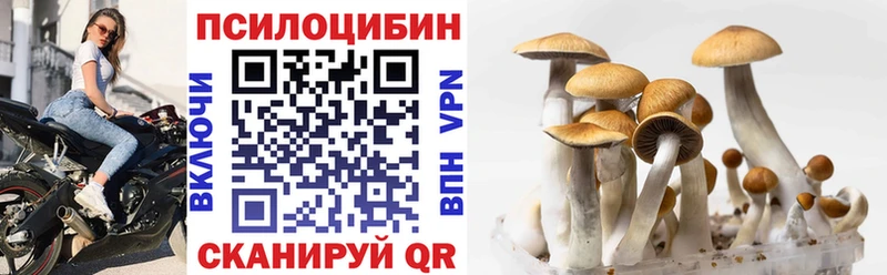 наркотики Малмыж Галлюциногенные грибы мицелий